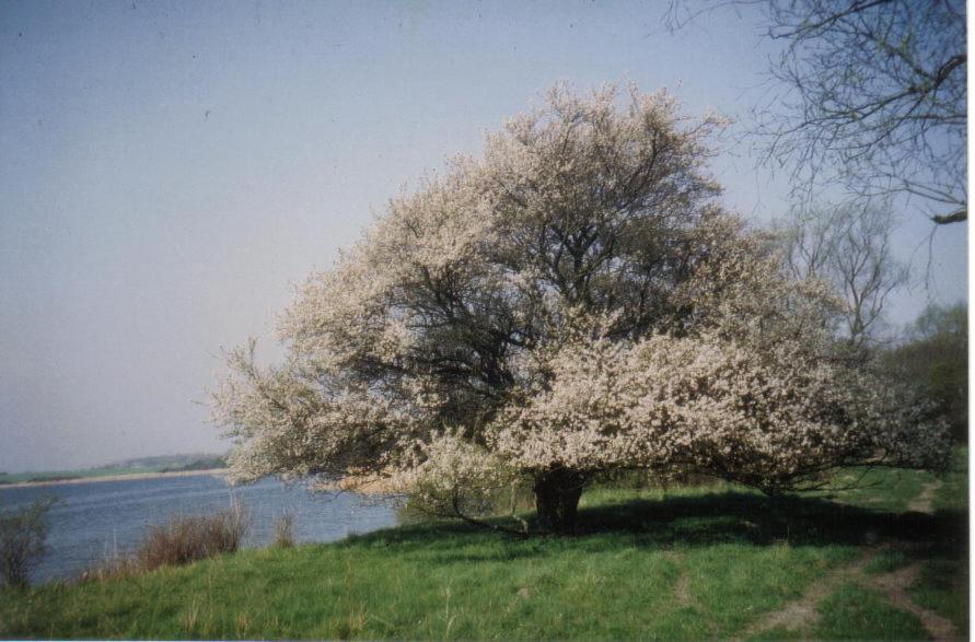 Gaestehaus Niederhof Sundhagen-Niederhof Εξωτερικό φωτογραφία